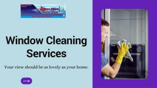 Now Is The Time For You to Know About Window Cleaning Services.