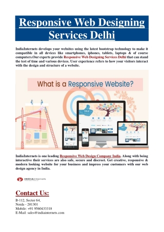 Responsive Web Designing Services Delhi