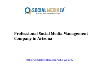 Professional Social Media Management Company in Arizona
