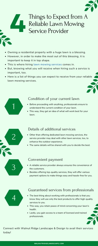 4 Things to Expect From A Reliable Lawn Mowing Service Provider