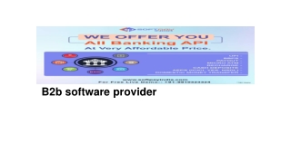 B2b software provider