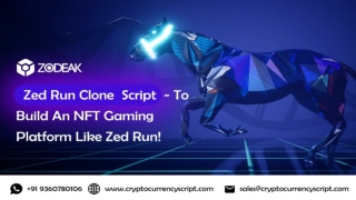 Zed Run Clone Script