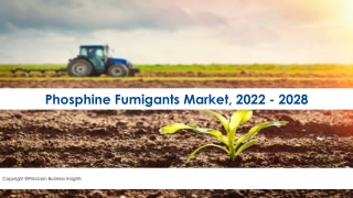 Phosphine Fumigation Market Size, Growth Opportunities 2022-28