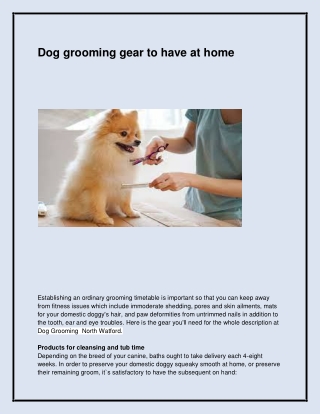 Best Pet Salon in North Watford