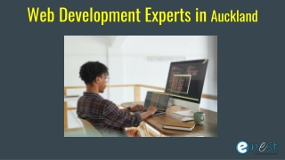 Web Development Experts in Auckland