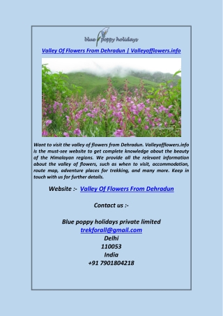 Valley Of Flowers From DehradunValleyofflowers.info