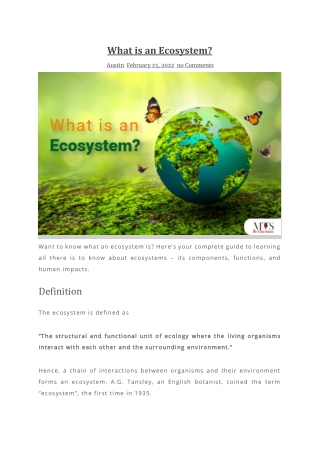 What is an Ecosystem