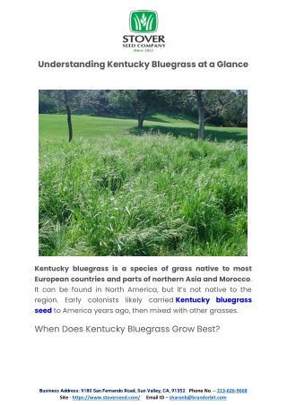 Understanding Kentucky Bluegrass at a Glance