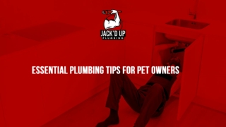 Slide - Essential Plumbing Tips For Pet Owners