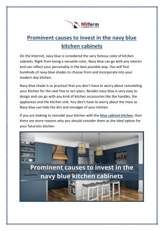 Prominent causes to invest in the navy blue kitchen cabinets
