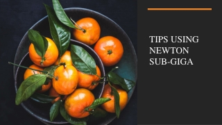 Tips using newton sub-giga