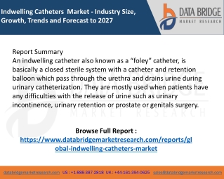 Indwelling Catheters  Market