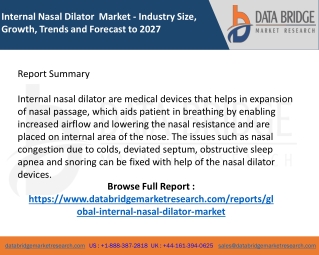 Internal Nasal Dilator