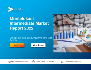 Financial Overview of Montelukast Intermediate Market Report 2022, Swot Analysis
