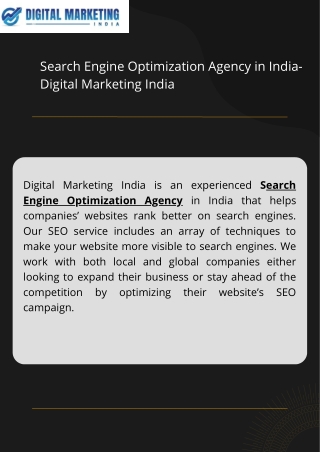 Search Engine Optimization Agency in India- Digital Marketing India