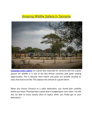 Amazing Wildlife Safaris In Tanzania
