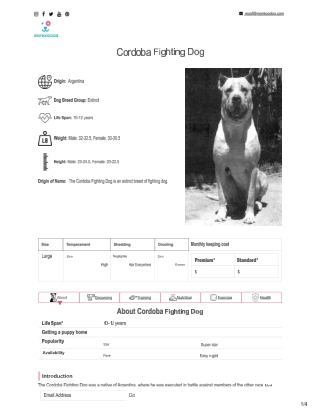 Cordoba Fighting Dog