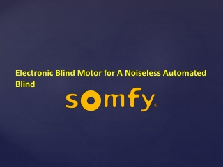 Electronic Blind Motor for A Noiseless Automated Blind