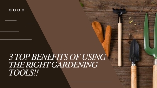 3 Top benefits of using the right Gardening Tools!