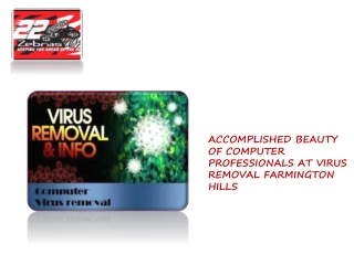 ACCOMPLISHED BEAUTY OF COMPUTER PROFESSIONALS AT VIRUS REMOVAL FARMINGTON HILLS 