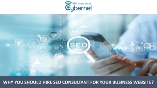 Why You Should Hire SEO Consultant for Your Business Website?