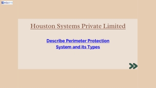Describe Perimeter Protection System and its Types
