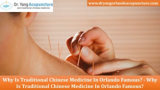 Traditional Chinese Medicine in Orlando