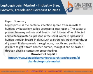 Leptospirosis  Market