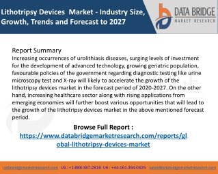 Lithotripsy Devices  Market