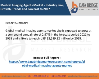 Medical Imaging Agents Market