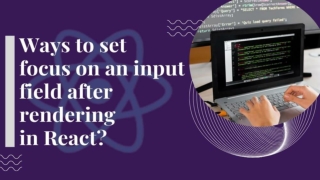 Ways to Set Focus on an Input Field After Rendering in React