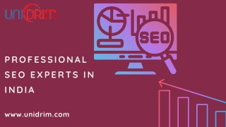 Unidrim Professional SEO Experts in India