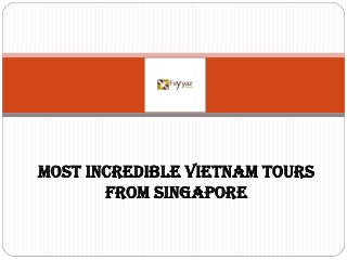 Most Incredible Vietnam Tours from Singapore
