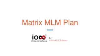 Matrix MLM Plan