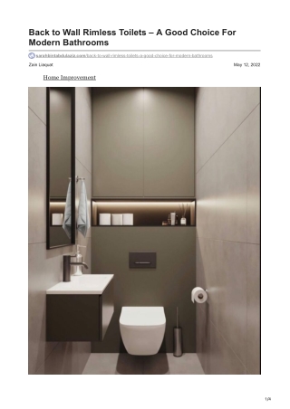 Back to Wall Rimless Toilets