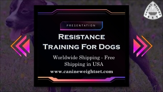 Resistance Training For Dogs