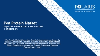 Pea Protein Market Revenue, Future Growth & Global Share Analysis