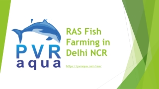 RAS Fish Farming in Delhi NCR