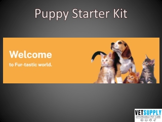 Know what you need for a new puppy - Puppy Starter Kit
