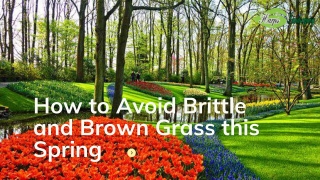 How to Avoid Brittle and Brown Grass this Spring