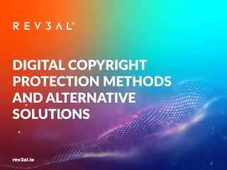 Digital Copyright Protection- Is It Possible