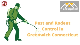 Pest Control Ridgefield Ct - Thoroughspect LLC