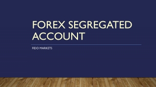 Forex Segregated Account