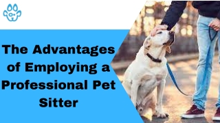 The Advantages of Employing a Professional Pet Sitter