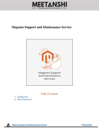 Magento Support and Maintenance Services