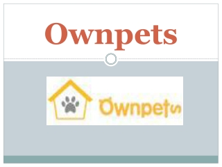 Purchase Affordable Dog Harnesses from Ownpets