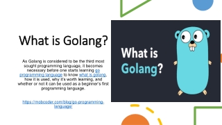 what is golang