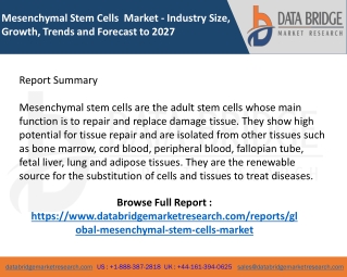 Mesenchymal Stem Cells  Market