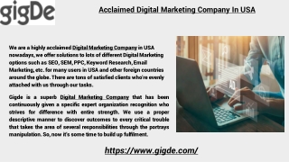 Acclaimed Digital Marketing Company In USA