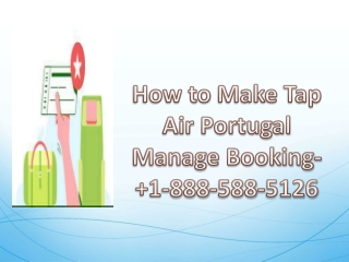 Tap Air Portugal Manage Booking Call Us 1-888-588-5126